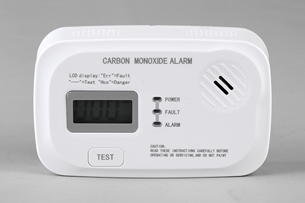 carbon monoxide alarm service1