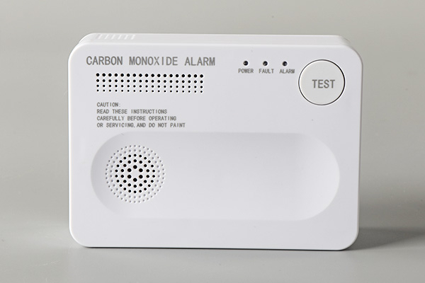 carbon monoxide alarm service2